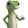 GEICO for Your Business